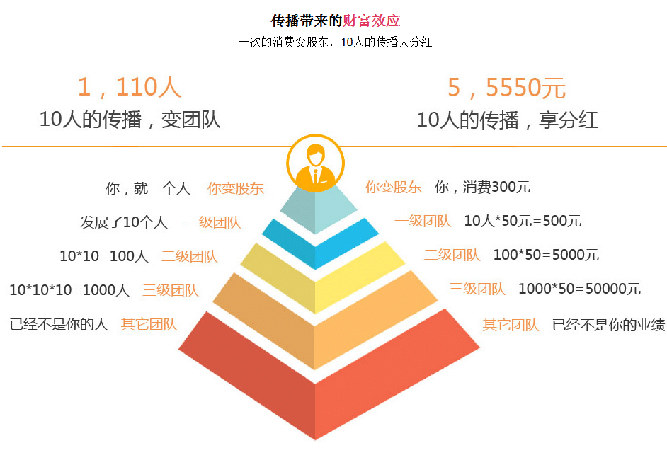 【合肥做网站】合肥丰乐种业股份有限公司网站开发案例